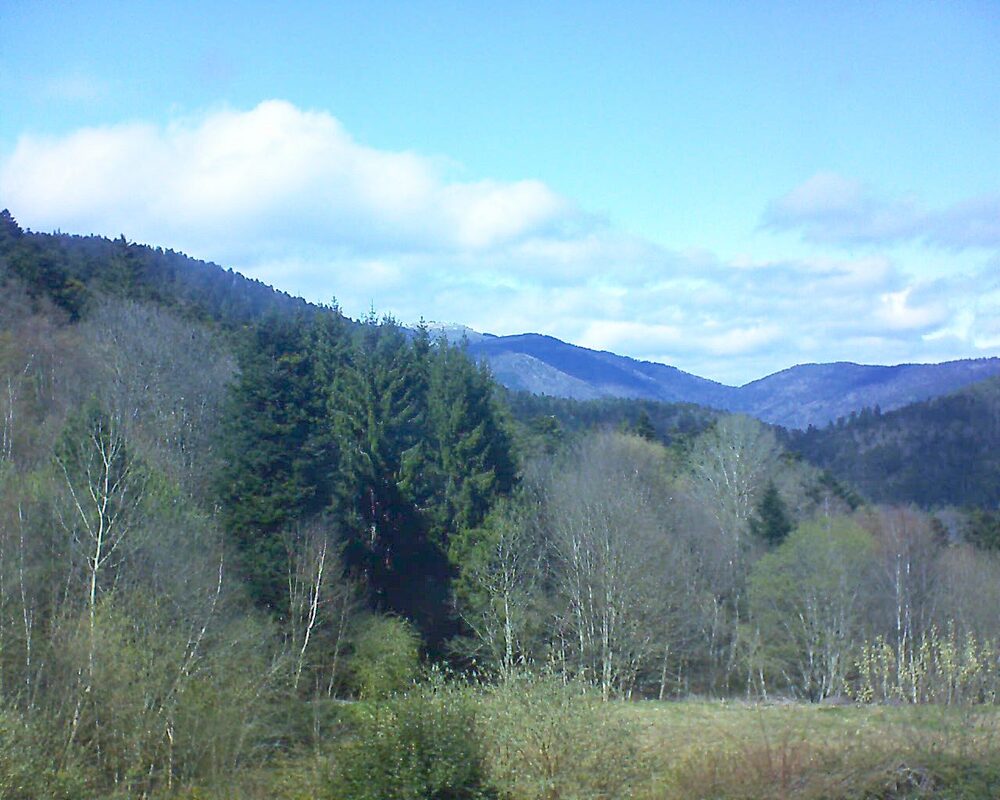 Le petit ballon (Alsace, Vosges) le 04.04.2026 à 15:00