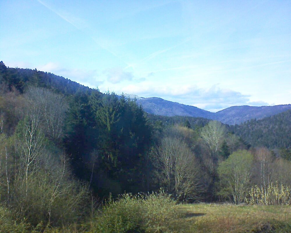 Le petit ballon (Alsace, Vosges) le 04.04.2026 à 17:00