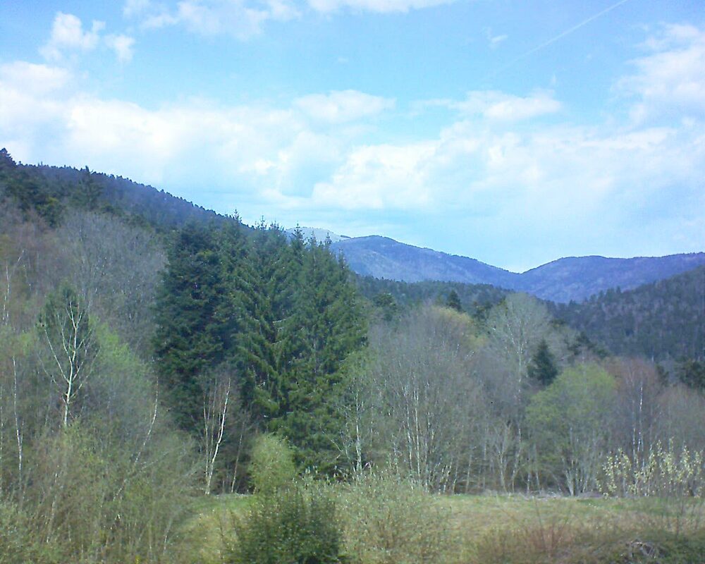 Le petit ballon (Alsace, Vosges) le 05.04.2026 à 13:45