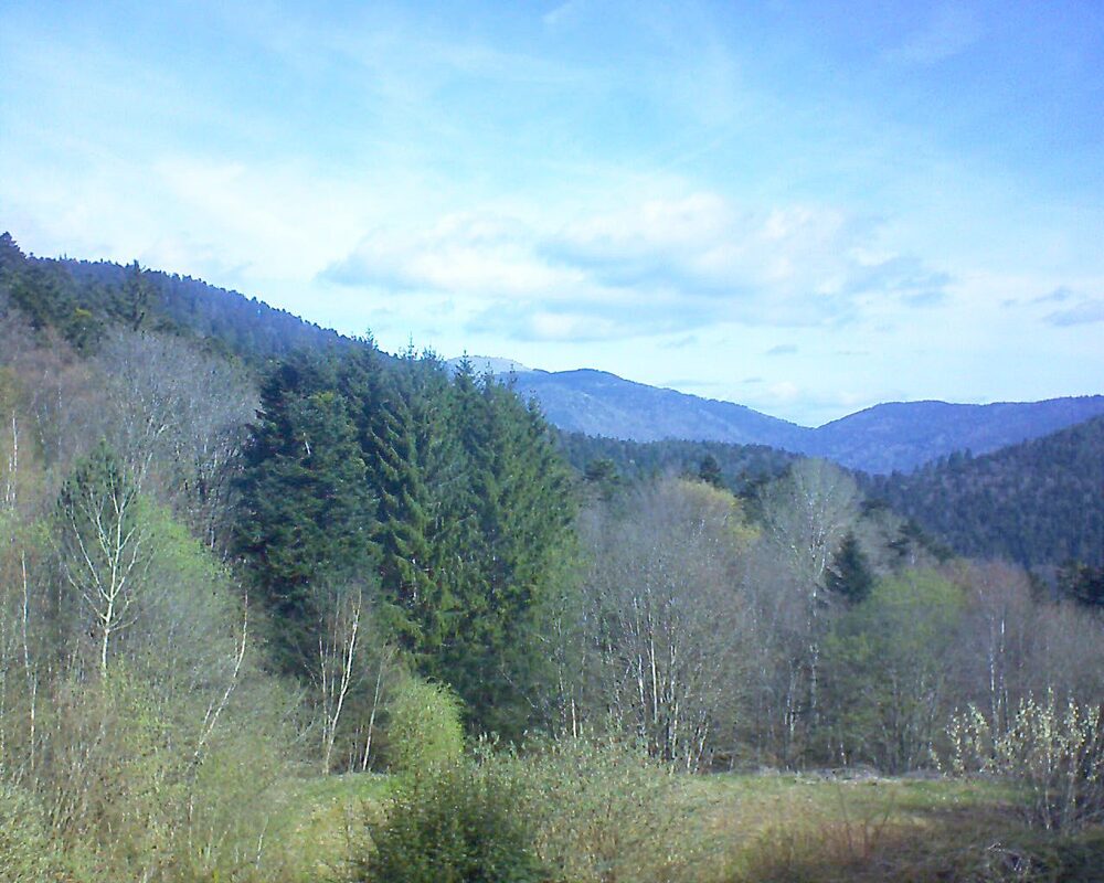 Le petit ballon (Alsace, Vosges) le 06.04.2026 à 10:45