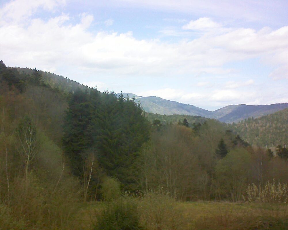 Le petit ballon (Alsace, Vosges) le 06.04.2026 à 13:30