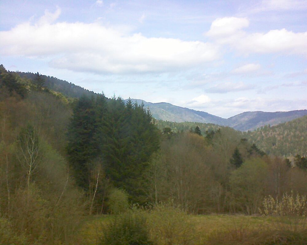 Le petit ballon (Alsace, Vosges) le 06.04.2026 à 13:45