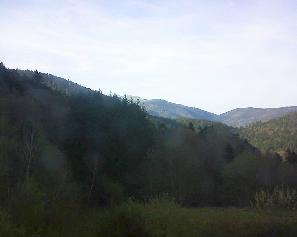 Le petit ballon (Alsace, Vosges) le 06.04.2026 à 18:00