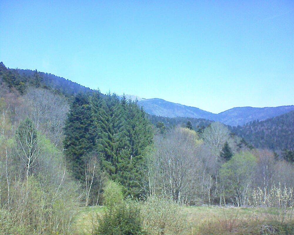 Le petit ballon (Alsace, Vosges) le 07.04.2026 à 17:00