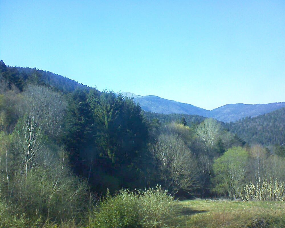 Le petit ballon (Alsace, Vosges) le 07.04.2026 à 18:15