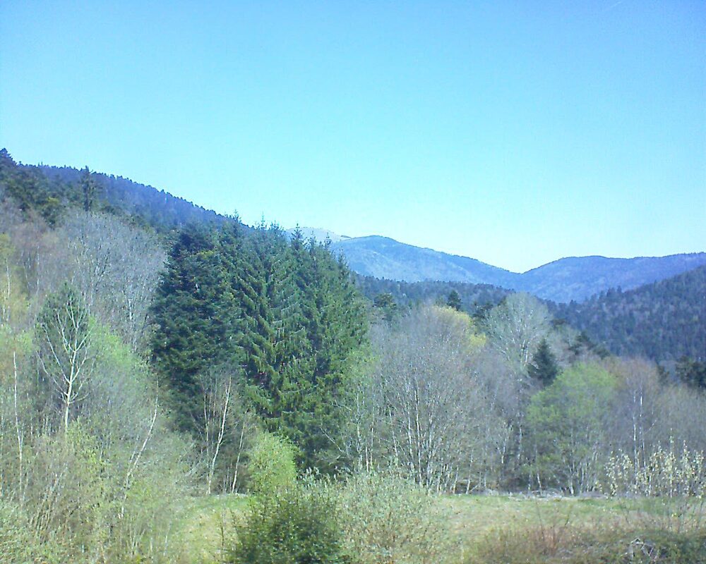 Le petit ballon (Alsace, Vosges) le 08.04.2026 à 12:00