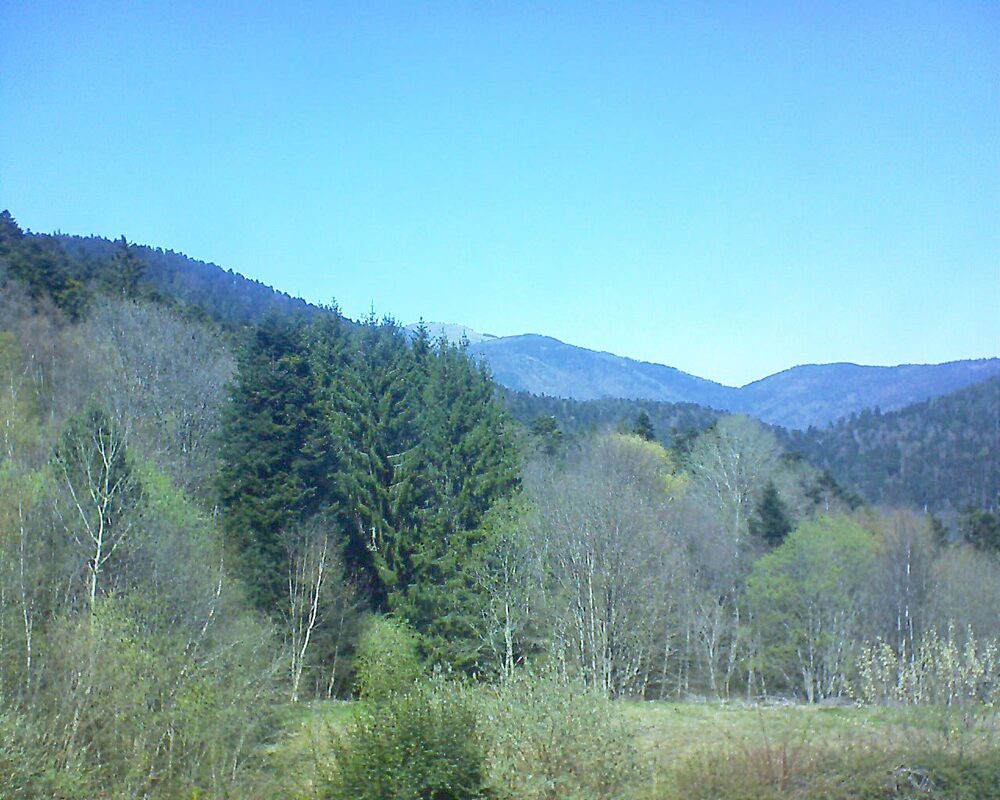 Le petit ballon (Alsace, Vosges) le 08.04.2026 à 14:00