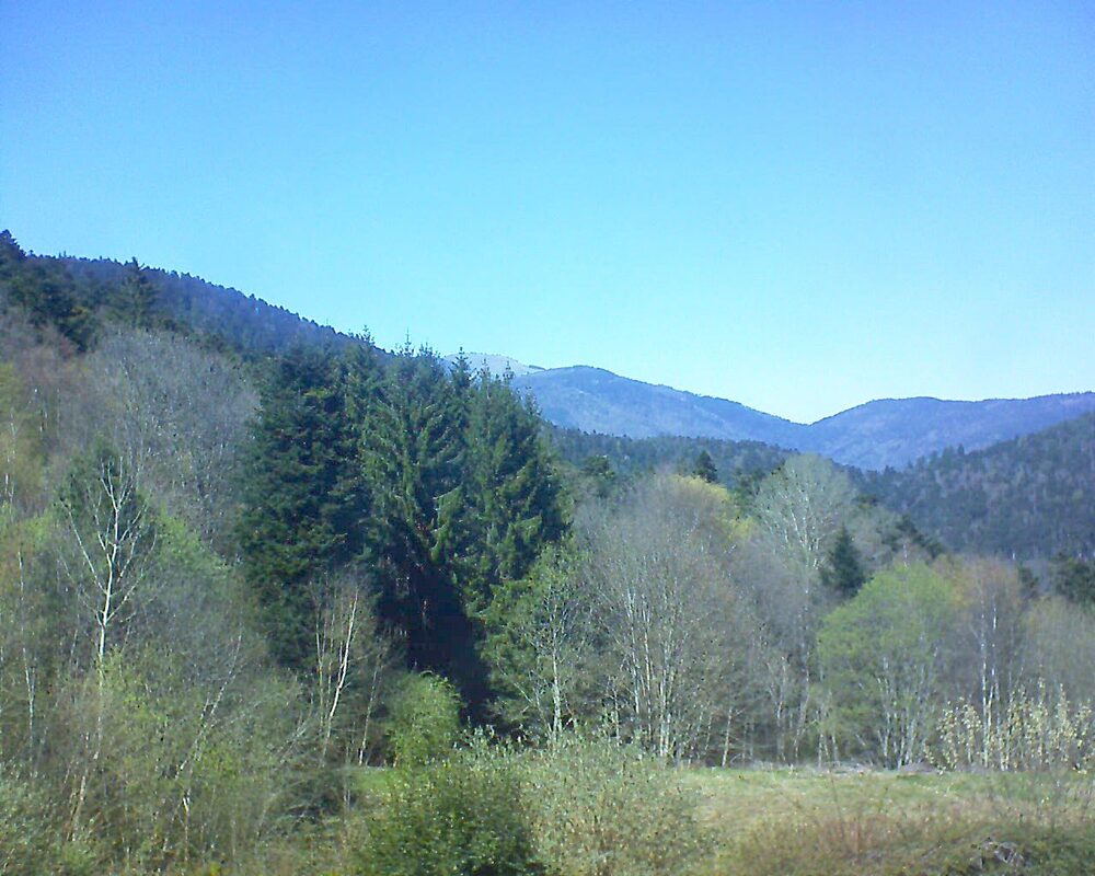 Le petit ballon (Alsace, Vosges) le 08.04.2026 à 14:45