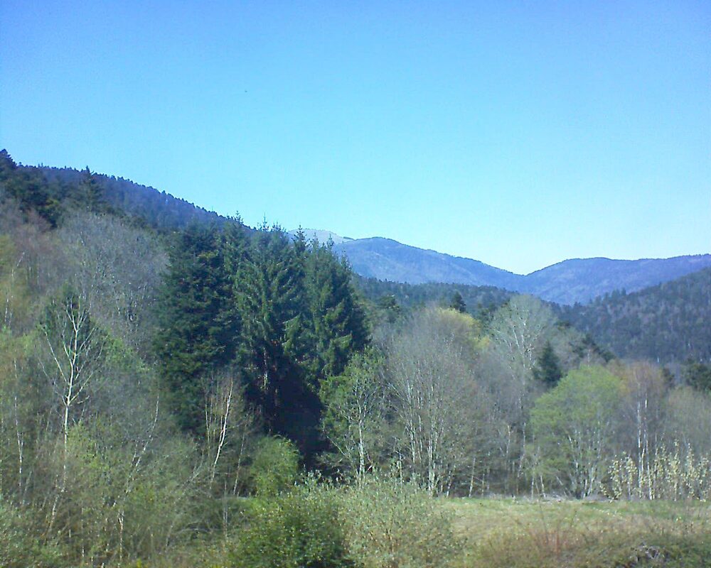 Le petit ballon (Alsace, Vosges) le 08.04.2026 à 15:00