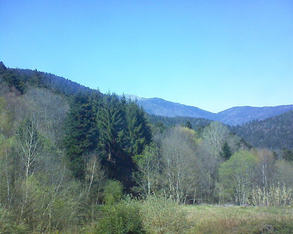 Le petit ballon (Alsace, Vosges) le 08.04.2026 à 15:15