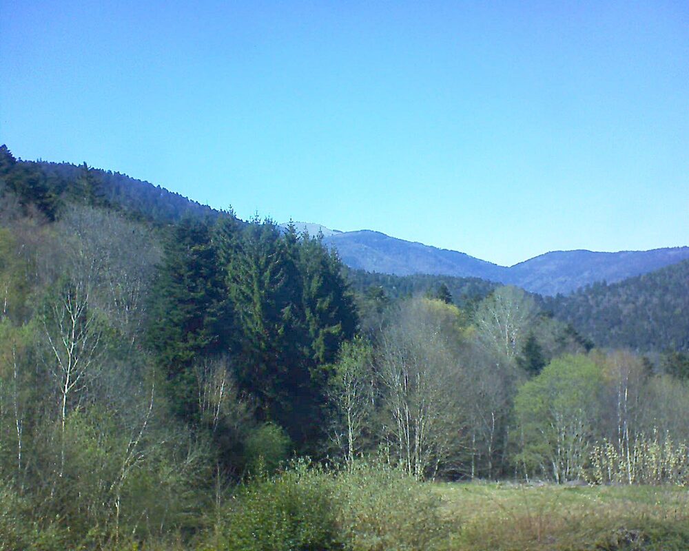 Le petit ballon (Alsace, Vosges) le 08.04.2026 à 16:00