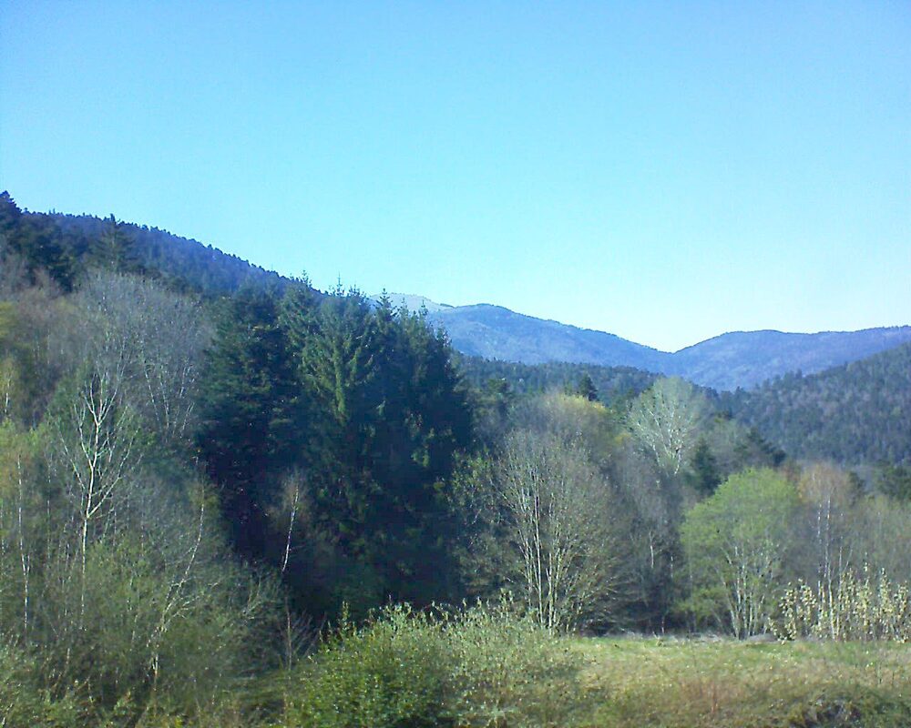 Le petit ballon (Alsace, Vosges) le 08.04.2026 à 16:45
