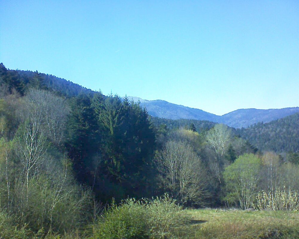 Le petit ballon (Alsace, Vosges) le 08.04.2026 à 17:00