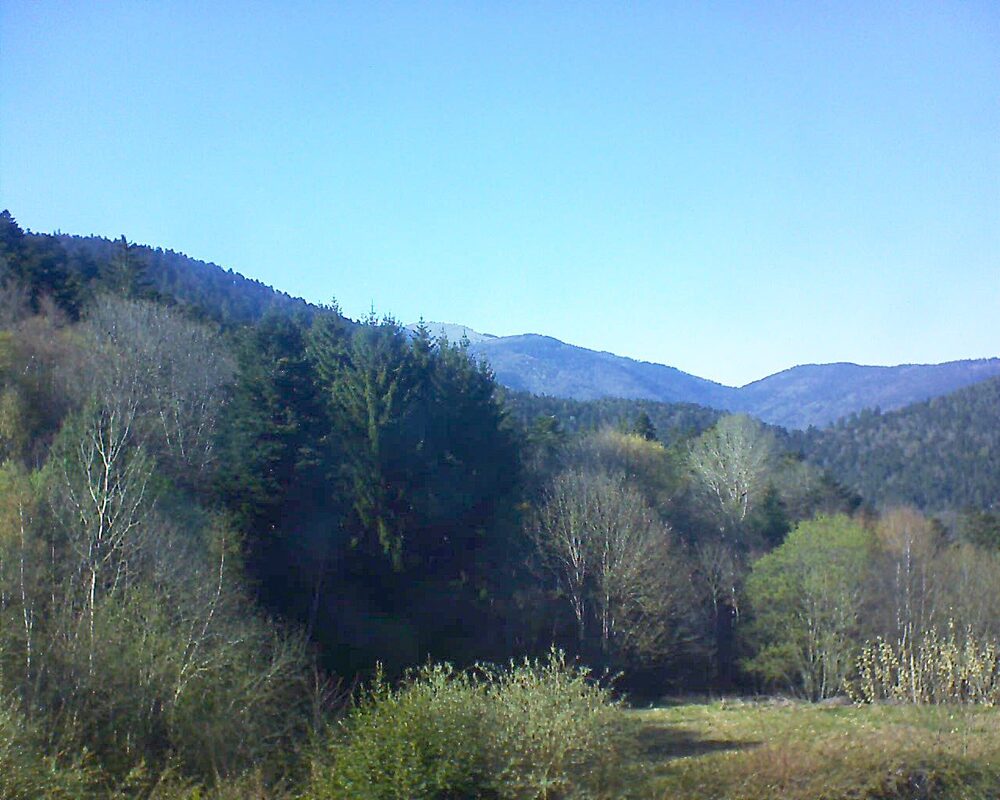 Le petit ballon (Alsace, Vosges) le 08.04.2026 à 17:15