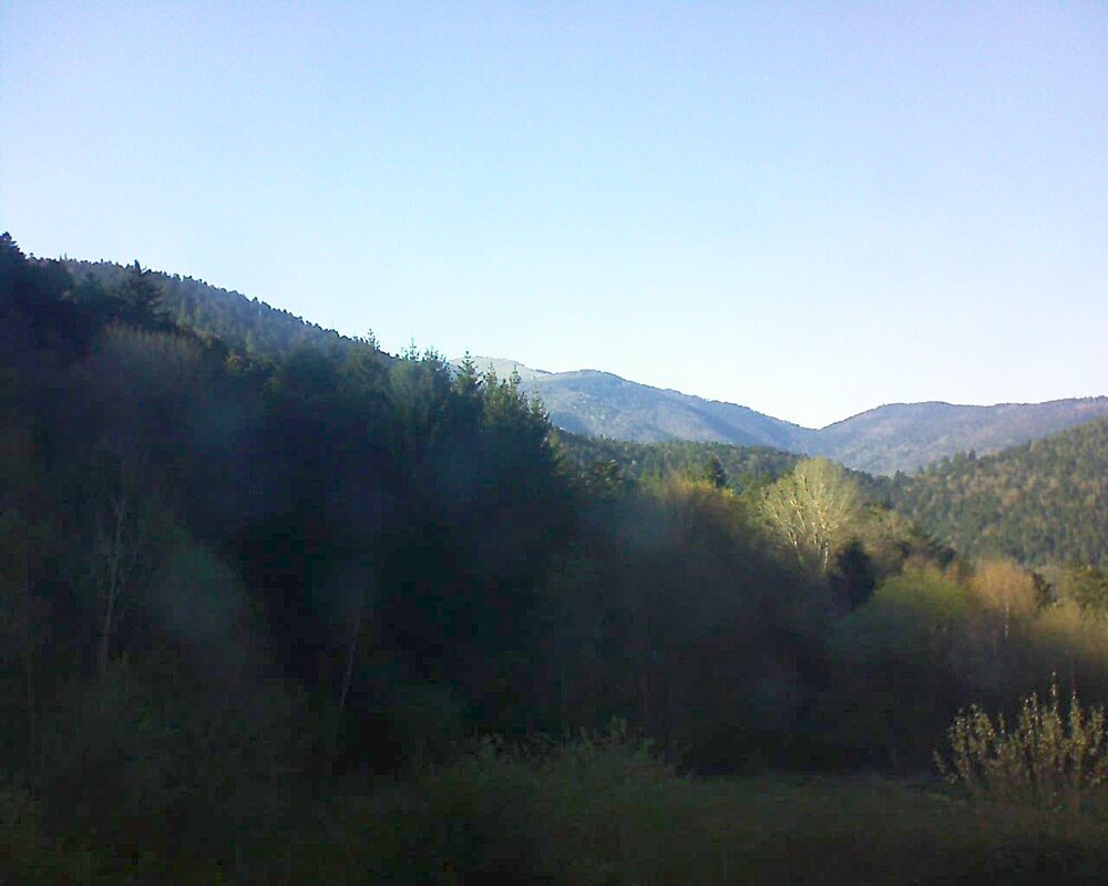 Le petit ballon (Alsace, Vosges) le 08.04.2026 à 17:45