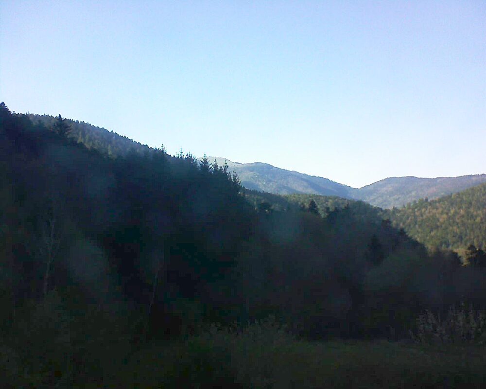 Le petit ballon (Alsace, Vosges) le 08.04.2026 à 18:00