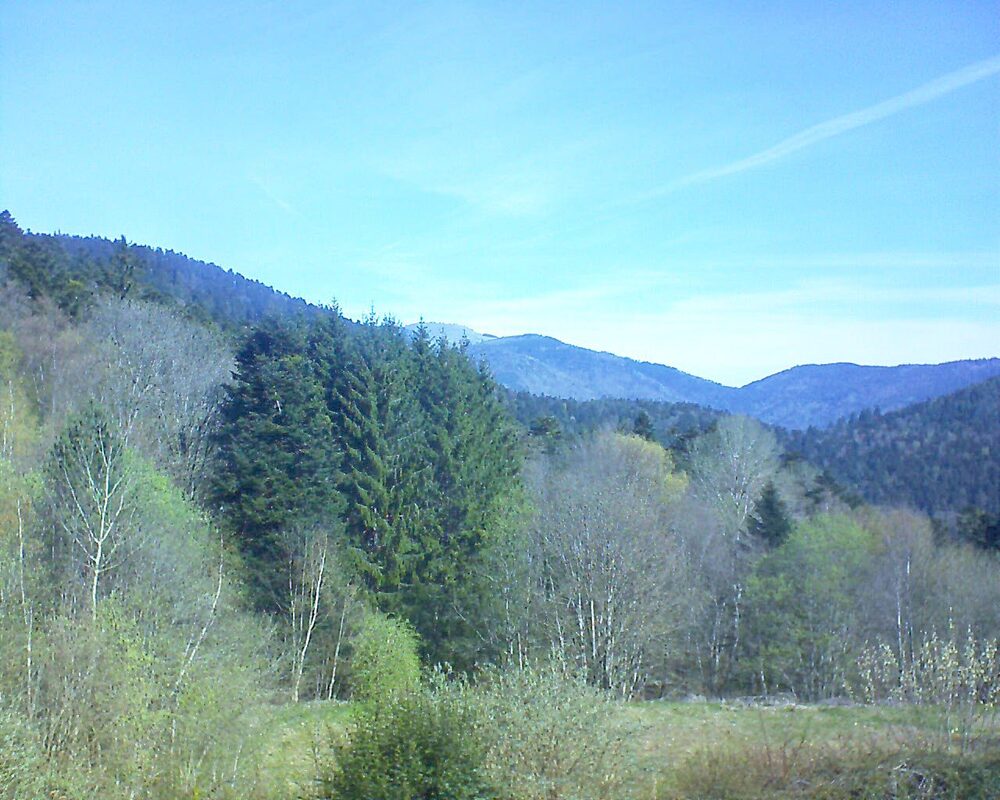 Le petit ballon vu depuis le Domaine Langmatt à Murbach le 09.04.2026 à 11:00 Le petit ballon (Alsace, Vosges) le 09.04.2026 à 11:00