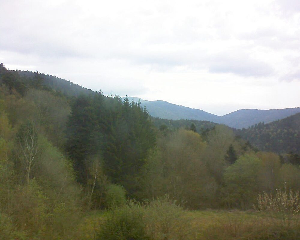 Le petit ballon (Alsace, Vosges) le 10.04.2026 à 08:15