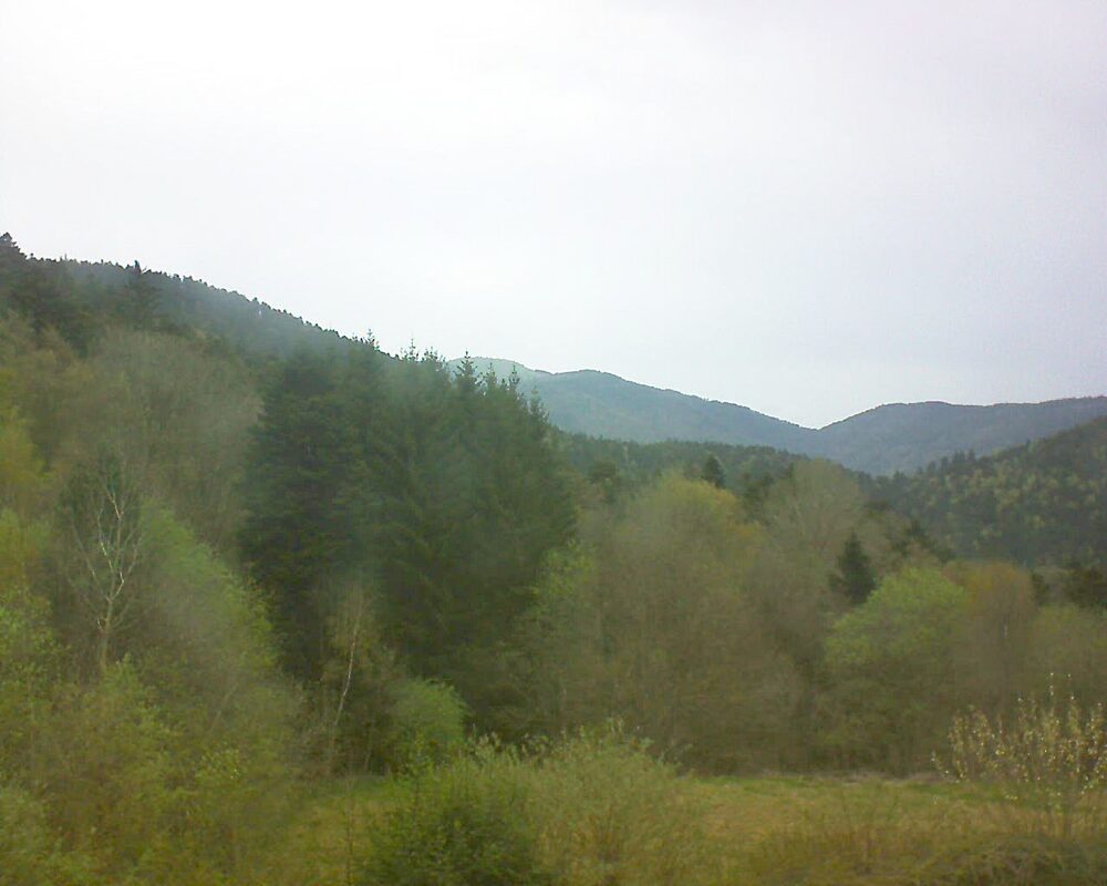 Le petit ballon (Alsace, Vosges) le 11.04.2026 à 18:00