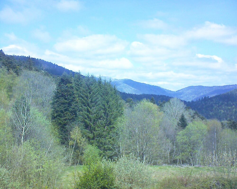 Le petit ballon vu depuis le Domaine Langmatt à Murbach le 15.04.2026 à 12:45 Le petit ballon (Alsace, Vosges) le 15.04.2026 à 12:45