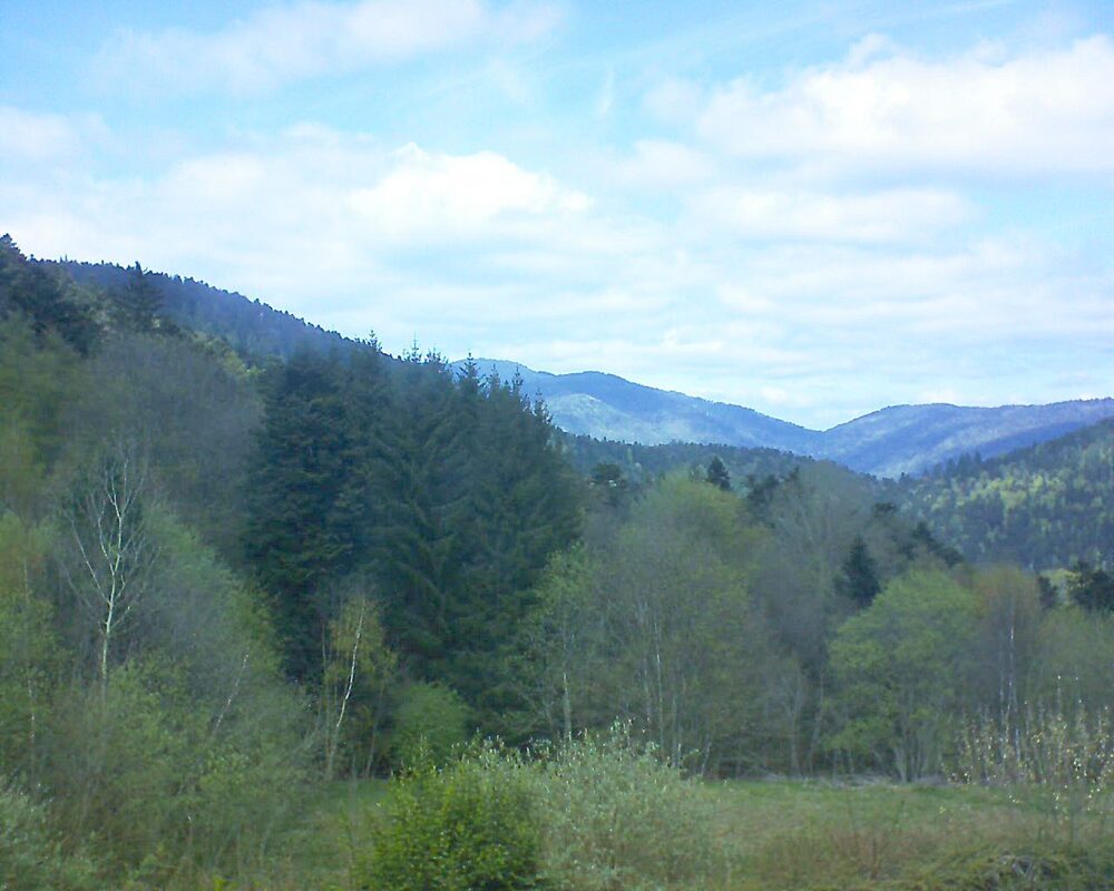Le petit ballon (Alsace, Vosges) le 15.04.2026 à 13:45