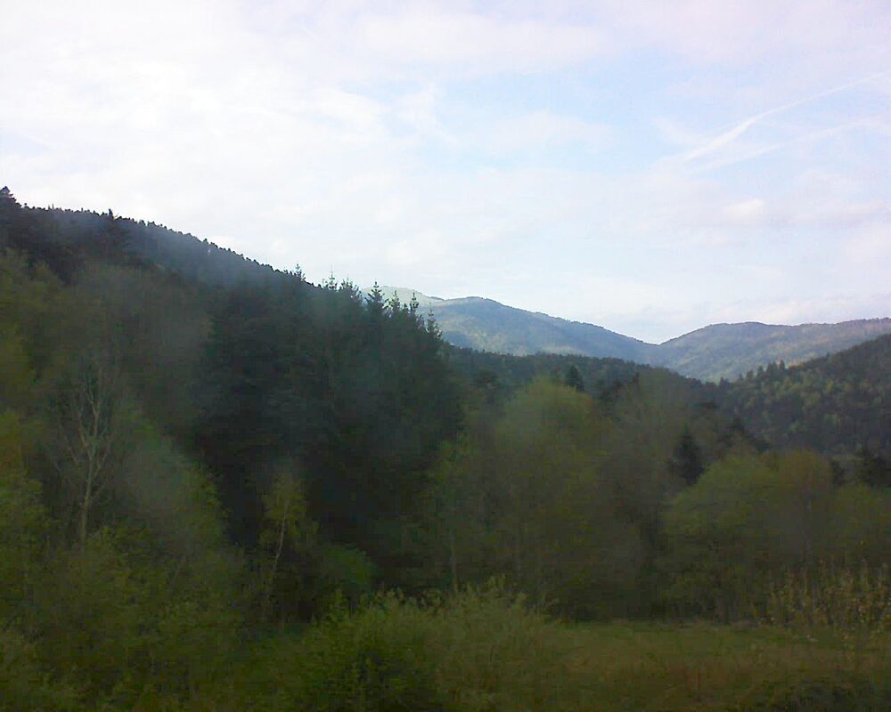 Le petit ballon (Alsace, Vosges) le 15.04.2026 à 18:00