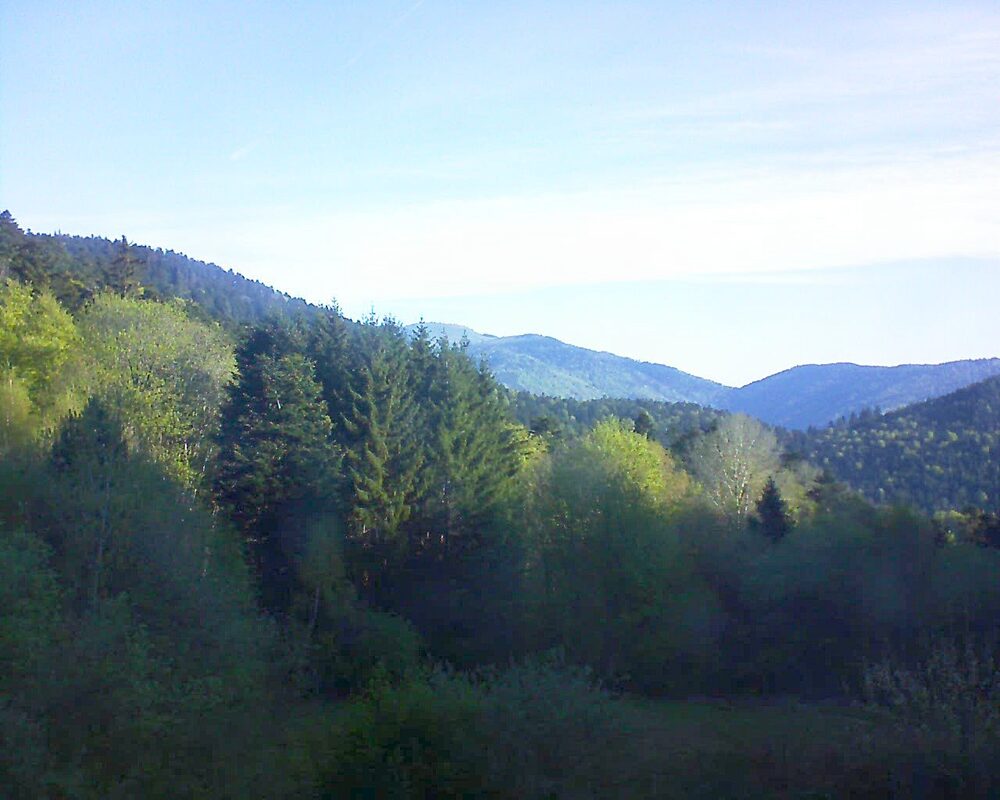 Le petit ballon (Alsace, Vosges) le 20.04.2026 à 08:45
