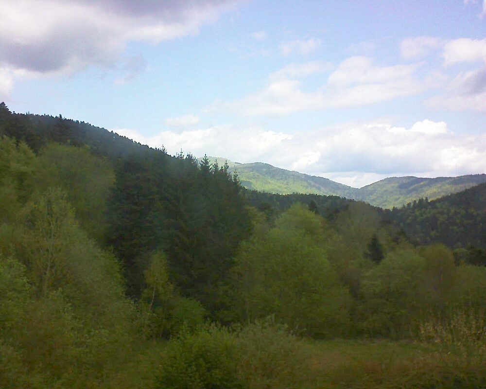 Le petit ballon (Alsace, Vosges) le 20.04.2026 à 12:30