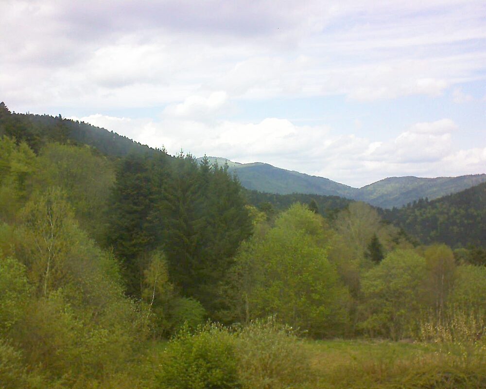 Le petit ballon (Alsace, Vosges) le 20.04.2026 à 14:30