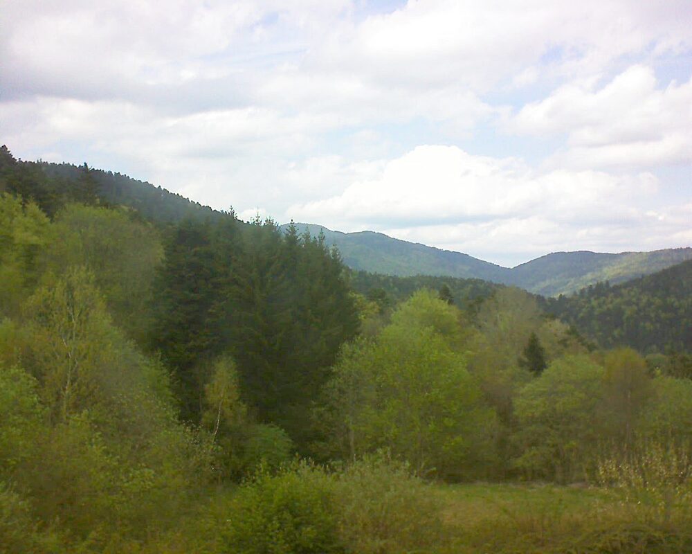 Le petit ballon (Alsace, Vosges) le 20.04.2026 à 15:45