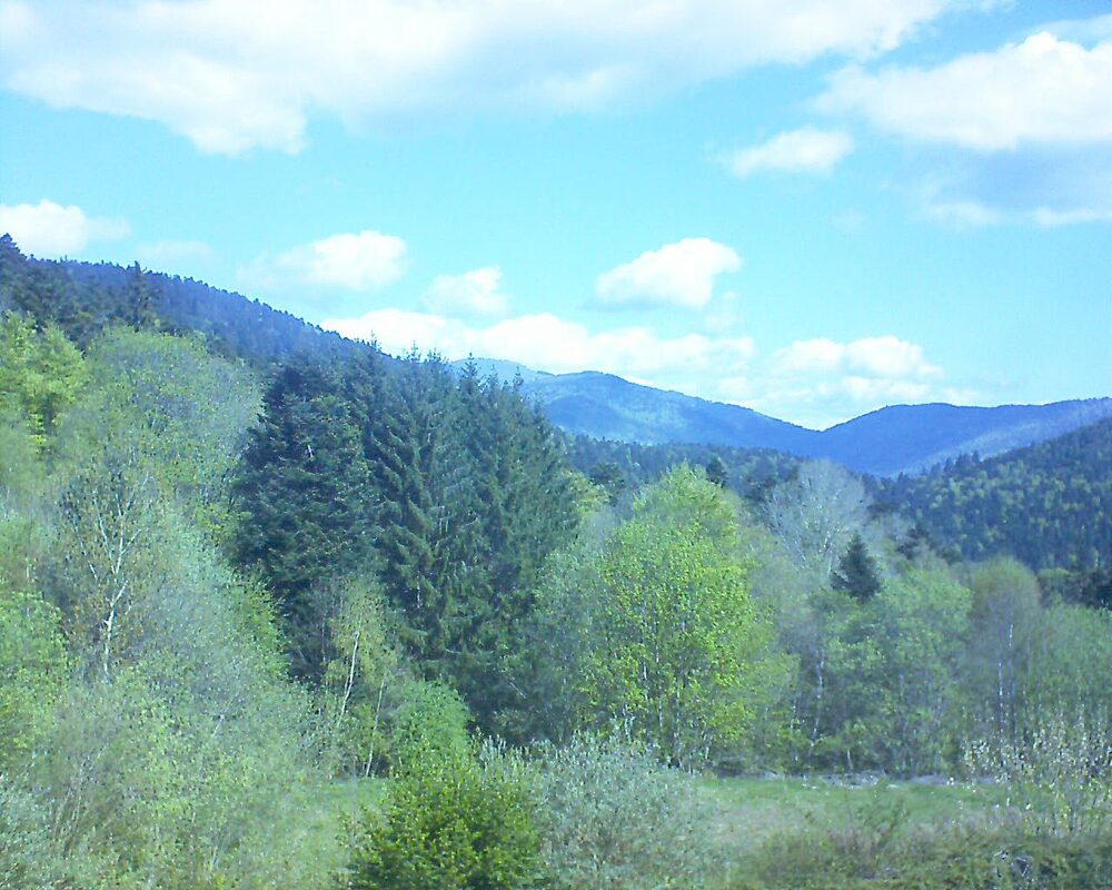 Le petit ballon (Alsace, Vosges) le 21.04.2026 à 11:15