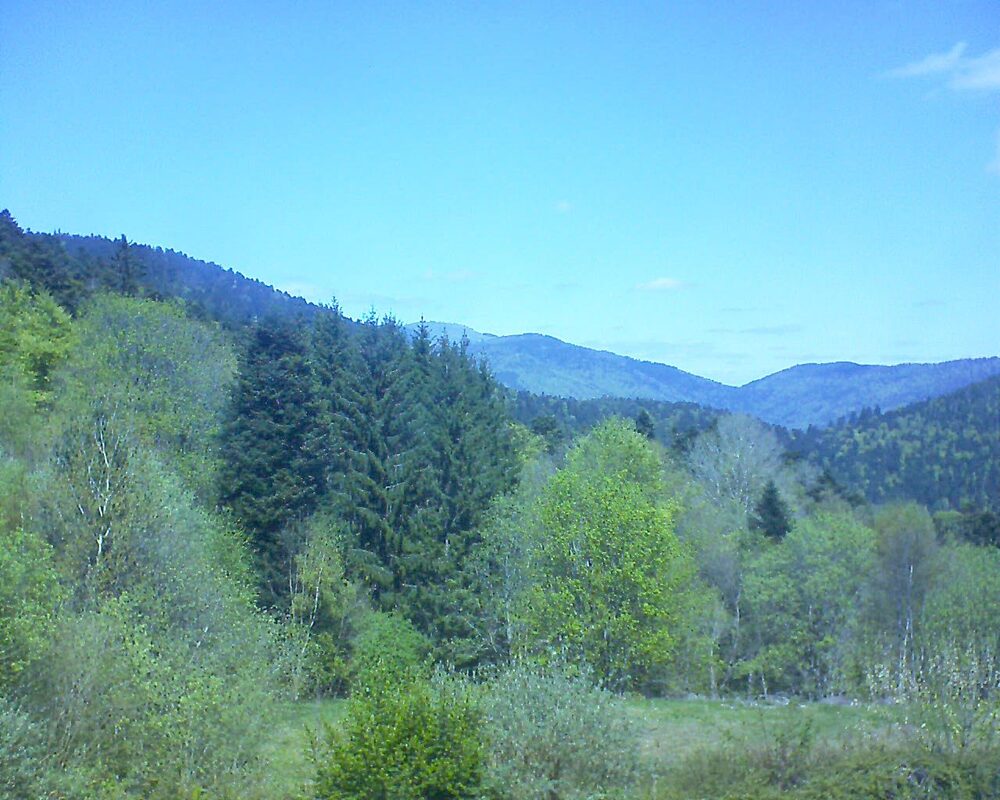 Le petit ballon (Alsace, Vosges) le 21.04.2026 à 13:00