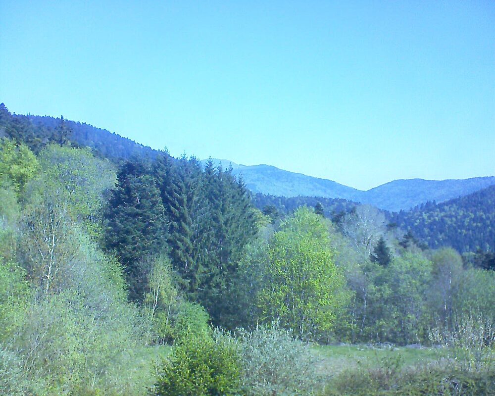 Le petit ballon (Alsace, Vosges) le 22.04.2026 à 10:45