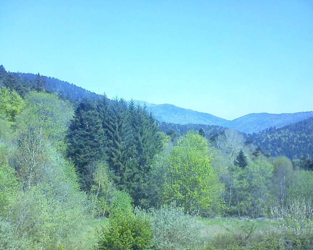 Le petit ballon (Alsace, Vosges) le 22.04.2026 à 11:30