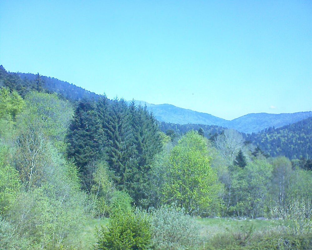 Le petit ballon vu depuis le Domaine Langmatt à Murbach le 22.04.2026 à 11:45 Le petit ballon (Alsace, Vosges) le 22.04.2026 à 11:45