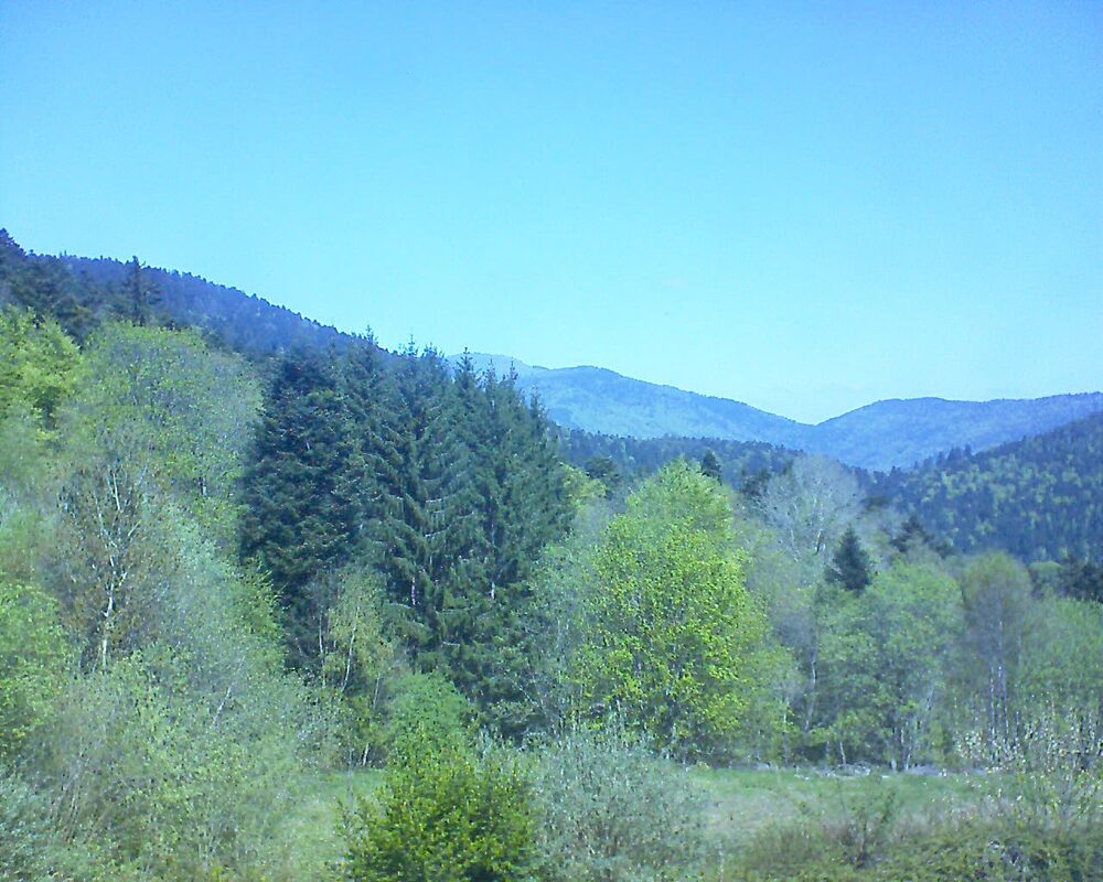 Le petit ballon (Alsace, Vosges) le 22.04.2026 à 12:30