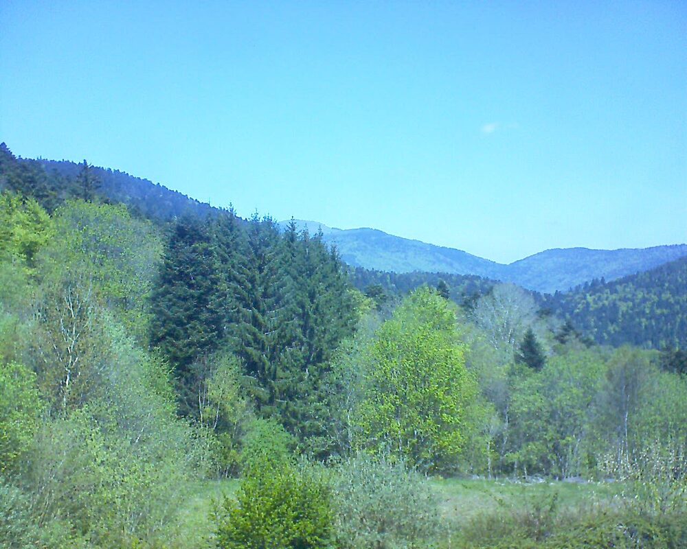 Le petit ballon (Alsace, Vosges) le 22.04.2026 à 12:45