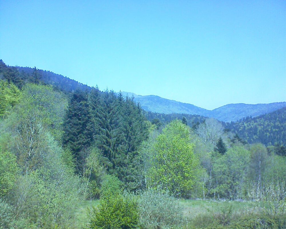 Le petit ballon (Alsace, Vosges) le 22.04.2026 à 13:00