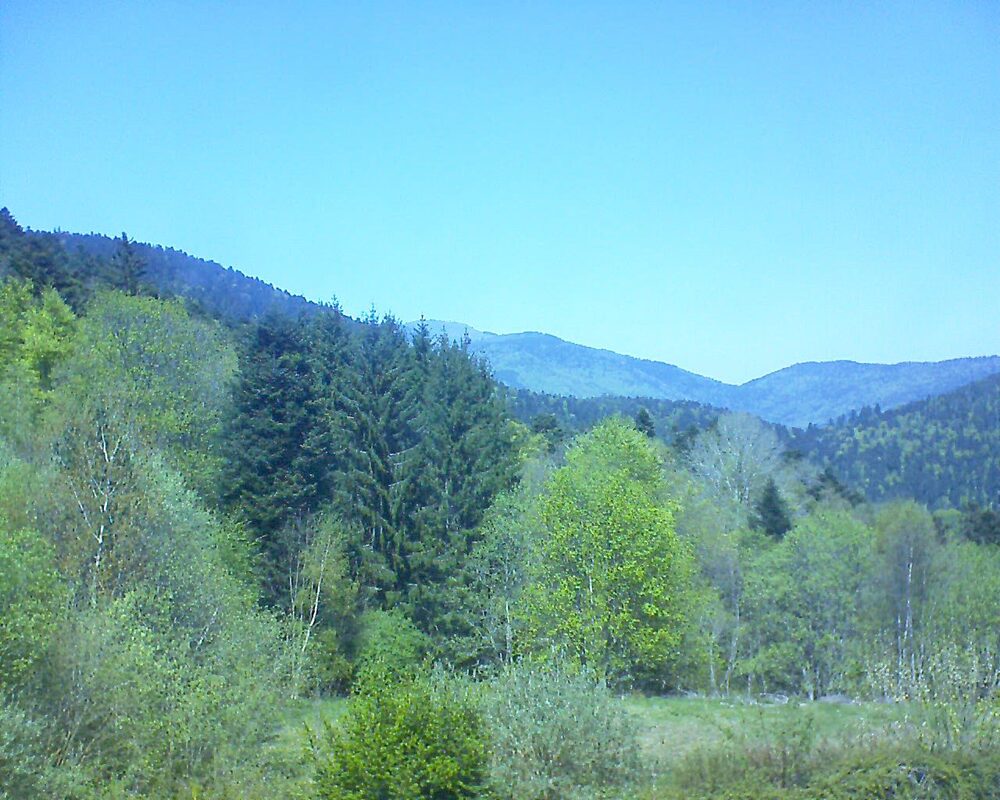 Le petit ballon vu depuis le Domaine Langmatt à Murbach le 22.04.2026 à 13:45 Le petit ballon (Alsace, Vosges) le 22.04.2026 à 13:45