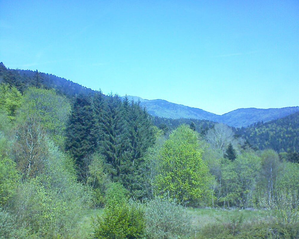 Le petit ballon (Alsace, Vosges) le 23.04.2026 à 12:45