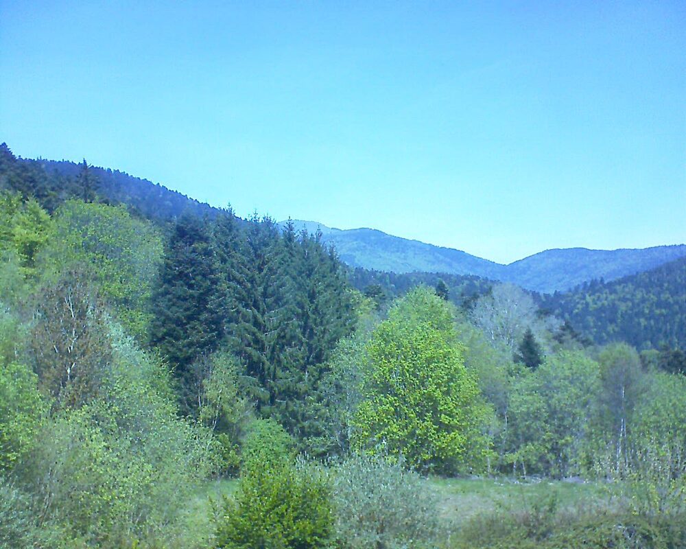 Le petit ballon (Alsace, Vosges) le 24.04.2026 à 13:00