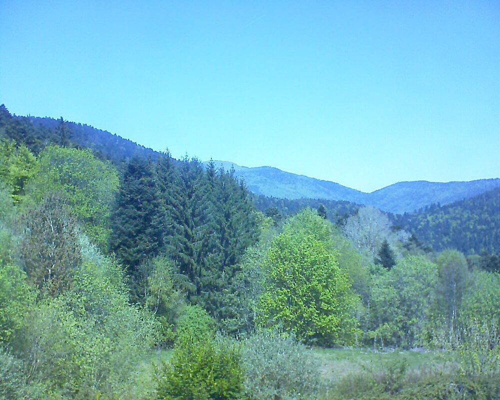Le petit ballon (Alsace, Vosges) le 25.04.2026 à 13:00
