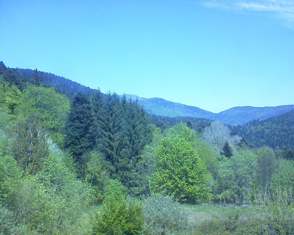 Le petit ballon (Alsace, Vosges) le 26.04.2026 à 13:00