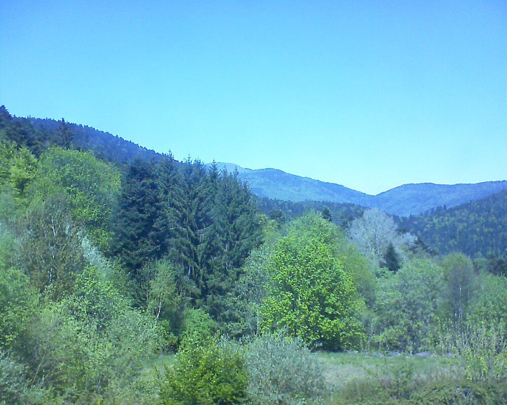 Le petit ballon (Alsace, Vosges) le 26.04.2026 à 13:45