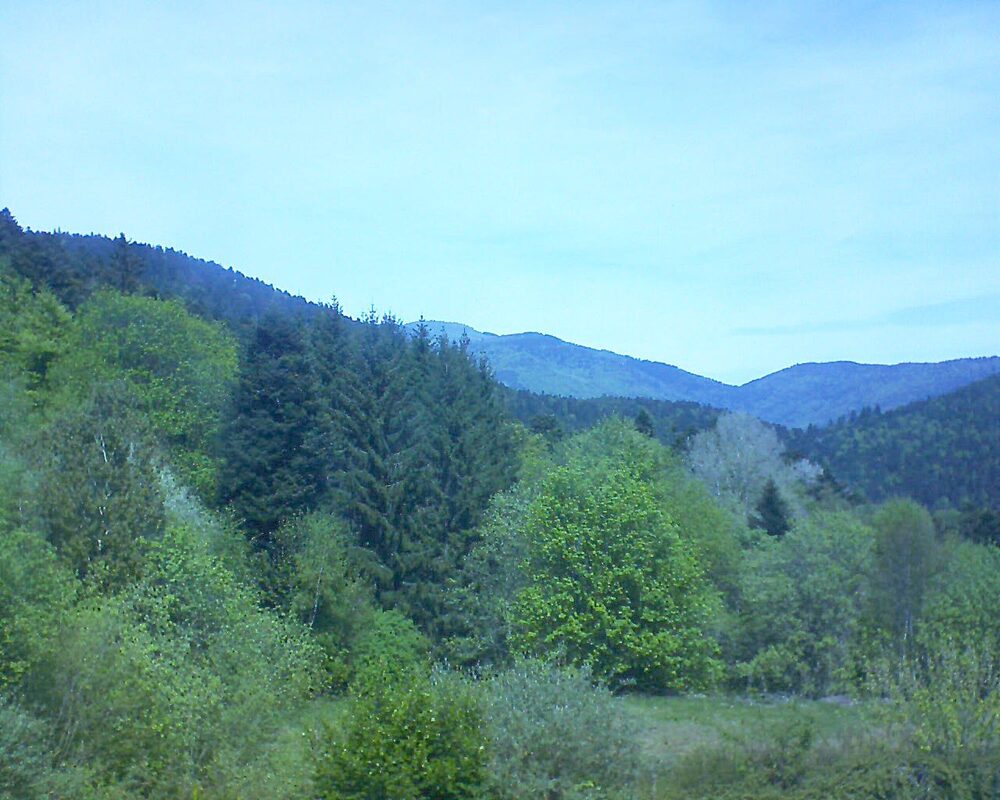 Le petit ballon (Alsace, Vosges) le 27.04.2026 à 13:00