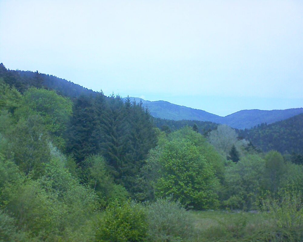 Le petit ballon (Alsace, Vosges) le 28.04.2026 à 13:00