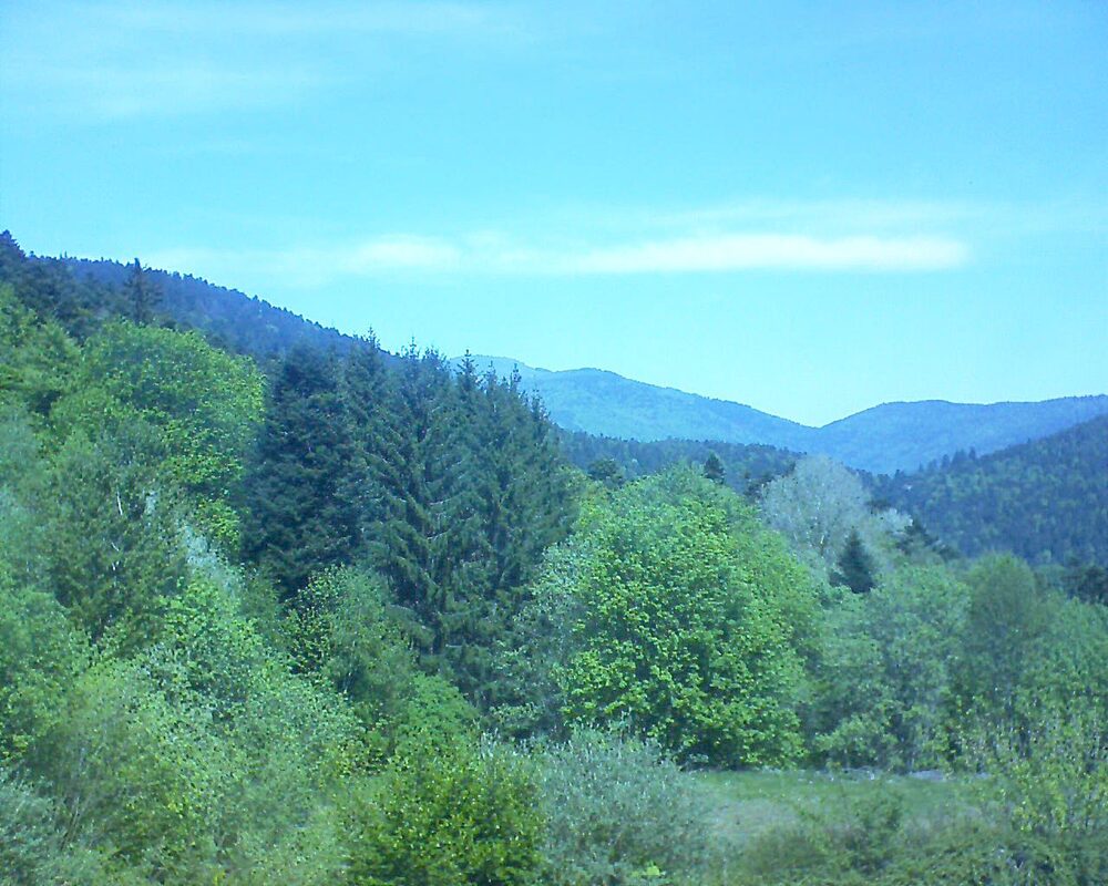 Le petit ballon (Alsace, Vosges) le 29.04.2026 à 12:45