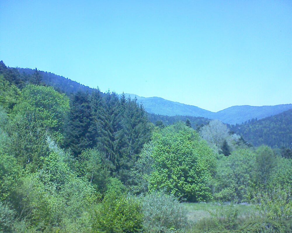 Le petit ballon (Alsace, Vosges) le 29.04.2026 à 13:45