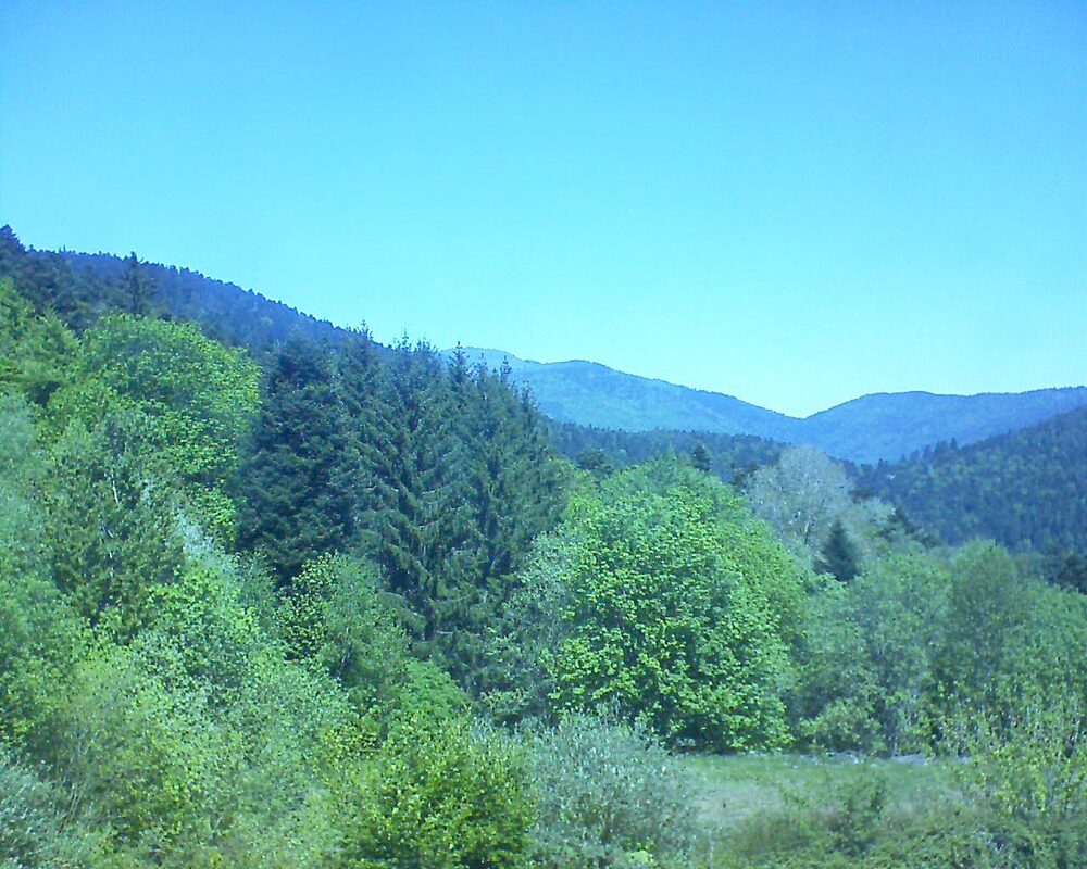 Le petit ballon (Alsace, Vosges) le 30.04.2026 à 12:45