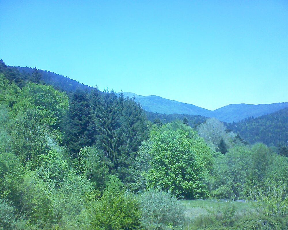 Le petit ballon (Alsace, Vosges) le 30.04.2026 à 13:45